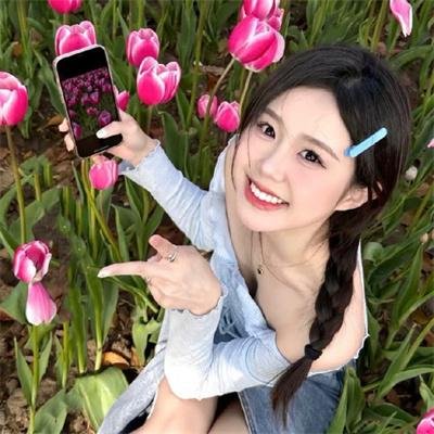 呆仔缉私